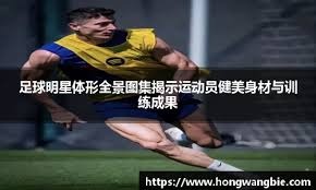 稳定护筐换
